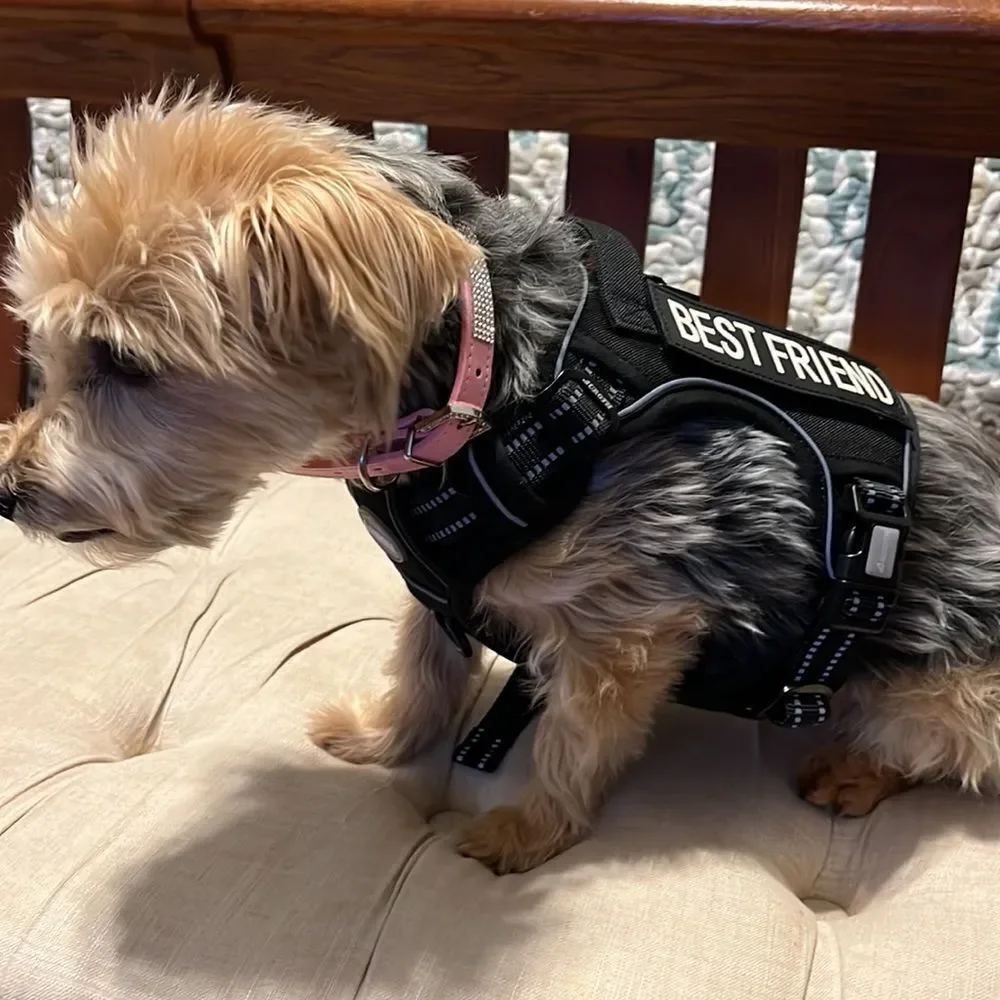 Auroth No Pull Harness K 9 Working Dog Best Friend Small New!
